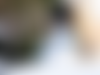 Fin de año helado: Temperaturas de hasta -15°C afectarán varios estados de México