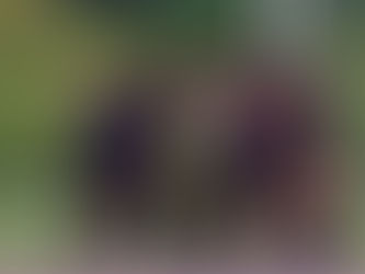 Las Rojinegras del Atlas quieren los primeros lugares de la tabla