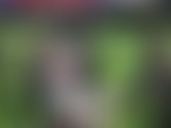 Amargo debut de Tom Brady con los Bucaneros de Tampa Bay