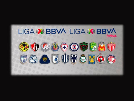 Sin fecha de inicio torneo Apertura 2020; duelos serán a puerta cerrada