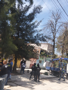 CORTAZAR RESUELVE: ATIENDE GOBIERNO MUNICIPAL REPORTE CIUDADANO Y MITIGA RIESGO POR ÁRBOLES EN LA COLONIA CHAPINGO