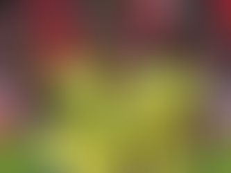 Raphinha calienta el Clásico: “Vamos a darles una paliza” antes del Argentina vs. Brasil