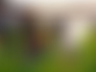 Día negro en el fútbol mexicano, la violencia se hizo presente en el estadio de Corregidora