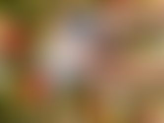 Aguinaldo 2025: la cuenta regresiva inició, ¿ya sabes cuándo te deben pagar?