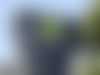 Nuevo León se convierte en el “hub” de inteligencia artificial: Nvidia invertirá mil millones de dólares en el primer Green Data Center de México