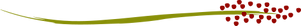 vogelgarten_sauerampfer_q.png