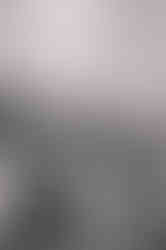 west coast elopement, vancouver wedding, vancouver elopement, woodsy wedding, pnw wedding, west coast, forest elopement, forest wedding, bride and groom, bride, groom, wedding photographer, vancouver wedding photographer, surrey weddings