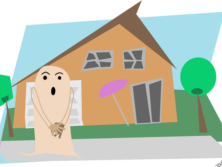 Nu-propriétaire mais propriétaire quand même...