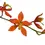 Thumbnail: Oncidium Espiritu Santo