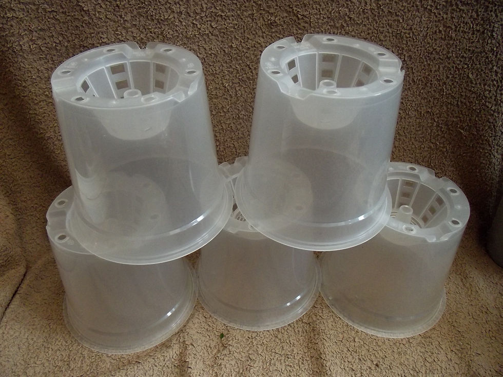 Thumbnail: 17 cm orchid pot