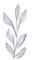 tituloo (4).png