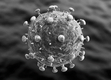 hiv-virus