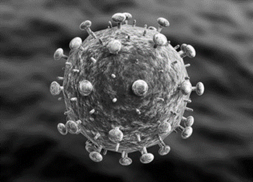 hiv-virus