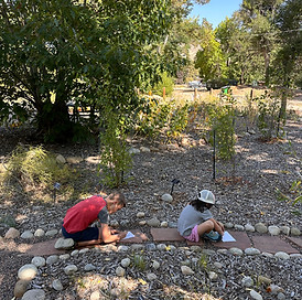 Kids at camp