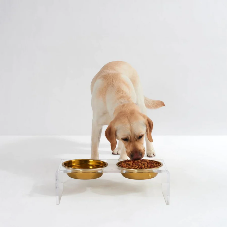 Thumbnail: Hiddin - Large Clear Double Dog Bowl Feeder Gold