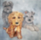 Bailey, Mya & Remi