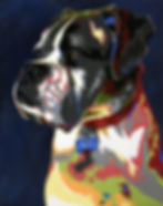 Ace