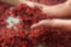 326ee9_deeb99ca19634050b3e9be8cabe7738f.