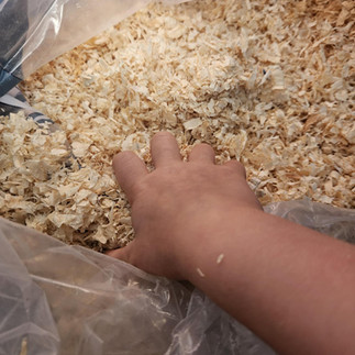 Matériaux de récupération pour fabriquer un mini hôtel à insectes, une activité DIY écologique et éducative.