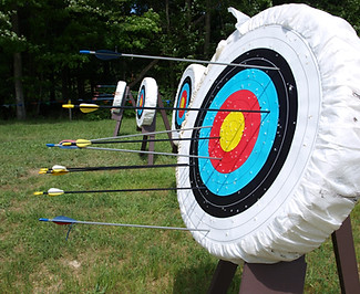 Archery Board nature