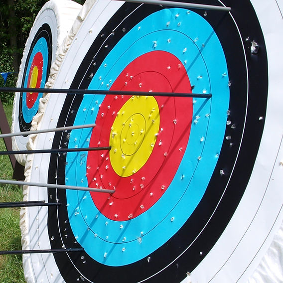 Archery Board nature