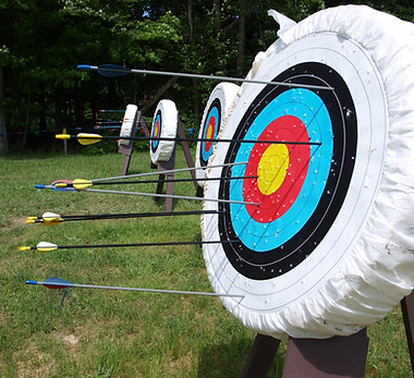 Archery Board nature