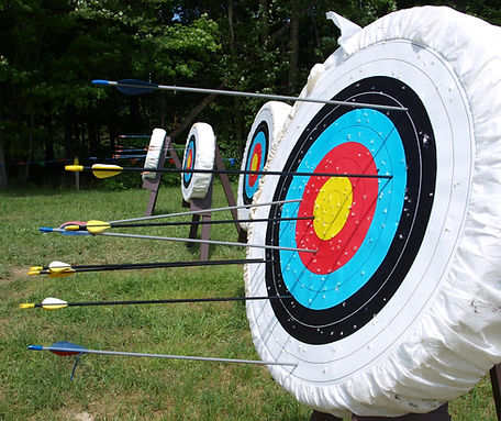 Archery Board nature