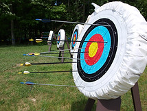 Archery Board nature