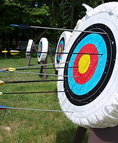 Archery Board nature