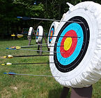Archery Board nature
