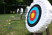 Archery Board nature