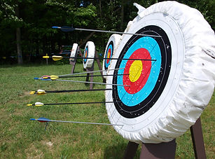 Archery Board nature
