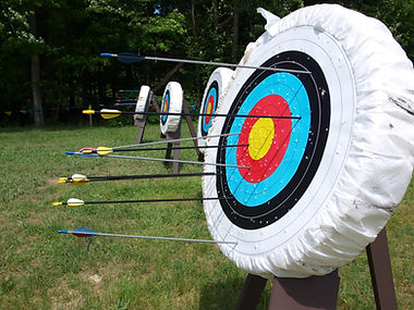 Archery Board nature