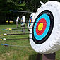 Archery Board nature