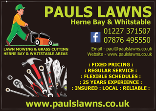 FEB 2021 - A busy day today servicing, repairing and general maintance of my fleet of mowers ....