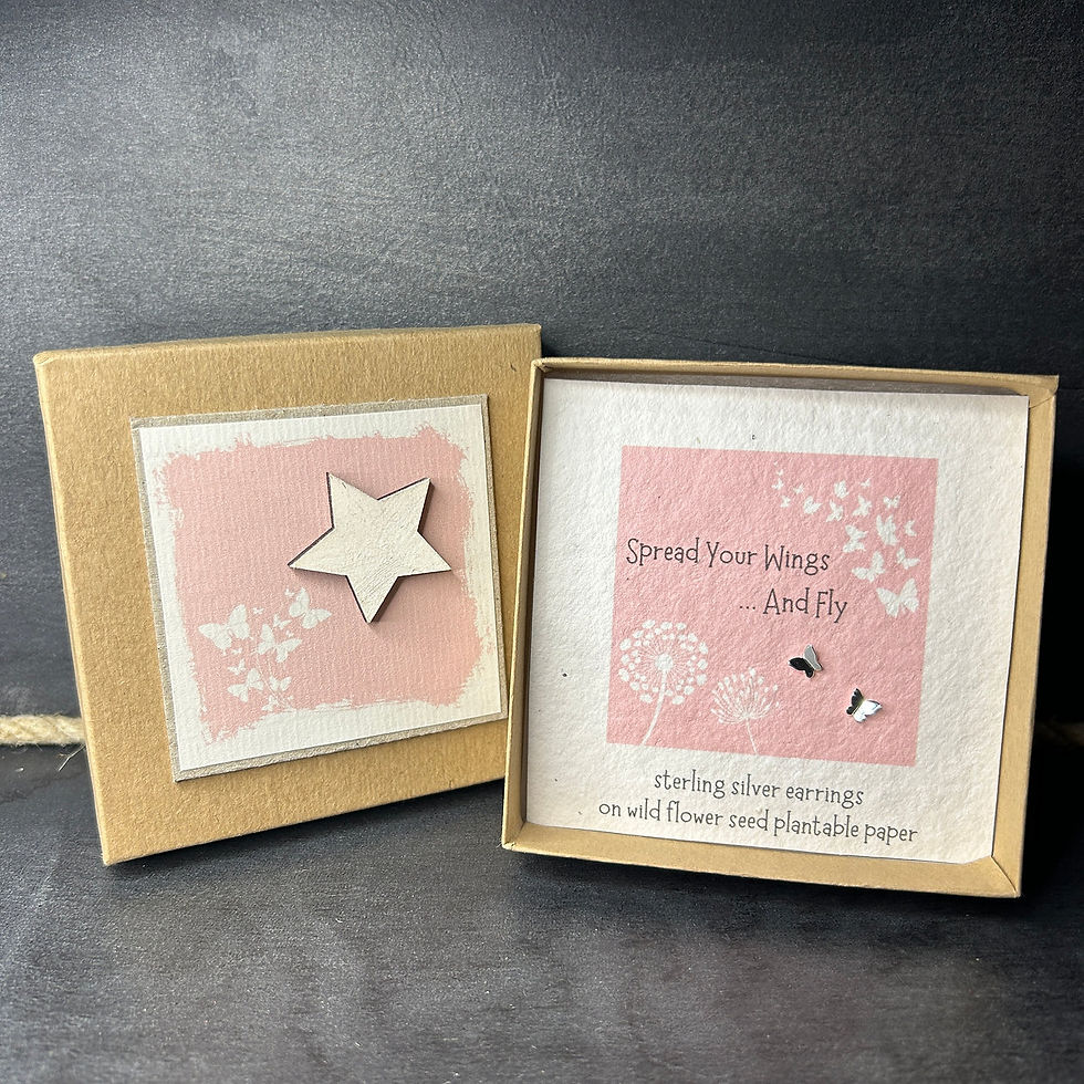 Ginger & Roo Spread Your Wings Boxed Sterling Silver Butterfly Earrings
