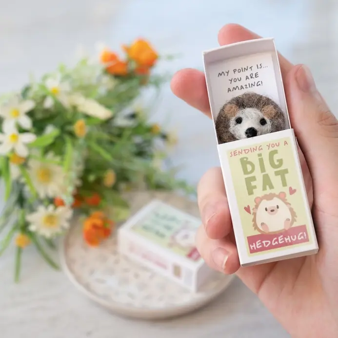 Sending You A Hedgehug in A Matchbox