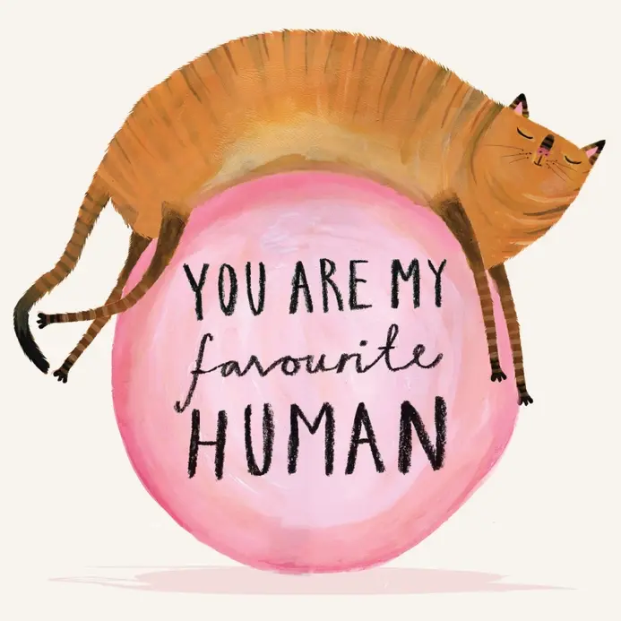 You Are My Favourite Human Cat Greeting Card