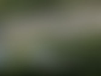 Why Texas: Fundamentals of a Solid Real Estate Market