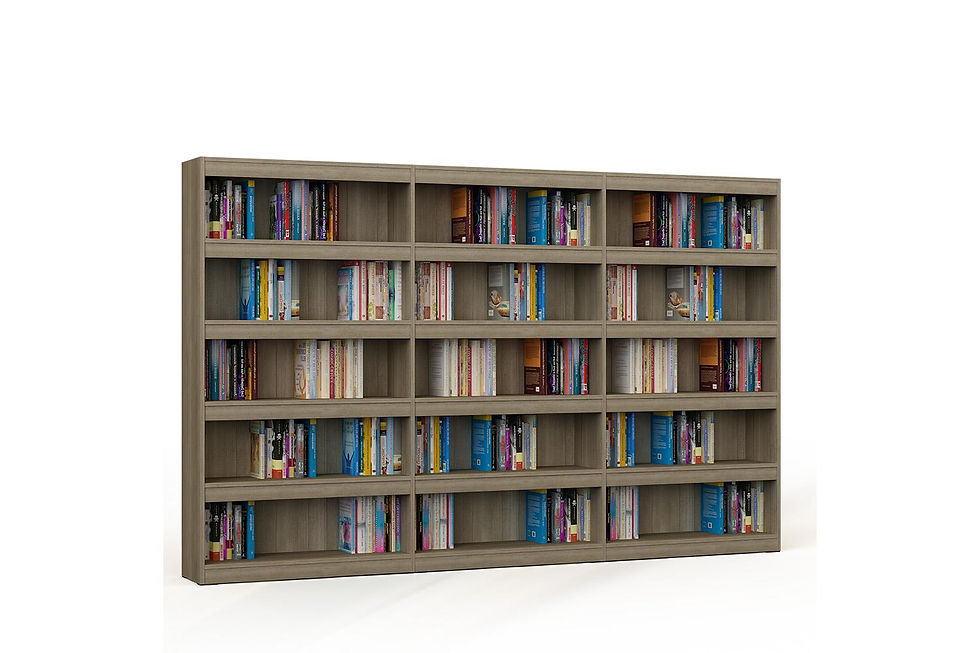 D05-2252 - Librería de madera triple de una cara con 4 estantes