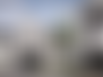 Harmony Reserve: vision and approach of the project