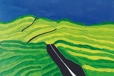mountain road cuts through rolling meadows