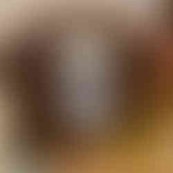 Vintage brown rotary phone