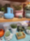 Plants in vintage pottery on antique mall display shelves