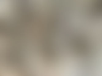 Vintage teacups and saucers with cottagecore floral design