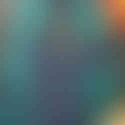 Vintage Miami Dolphins jacket