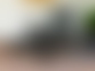 Wrought Iron chaise lounge