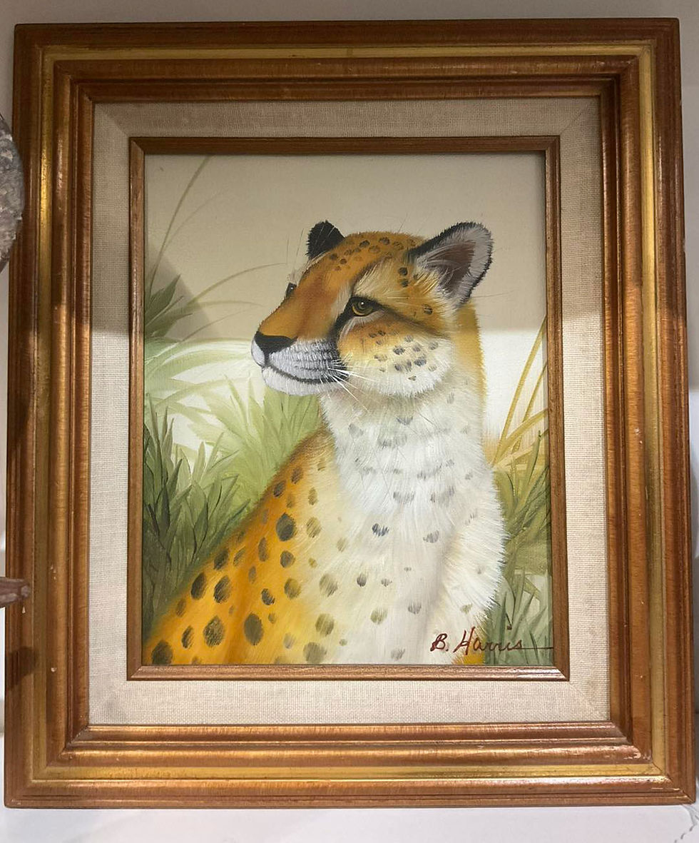 Vintage jungle cat painting in frame