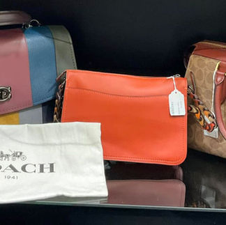 Collectible vintage coach bags in display case
