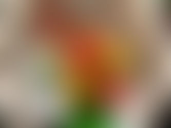 Shadowbox with vintage gnome and silk flowers